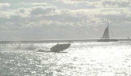 DSC_2535.jpg
