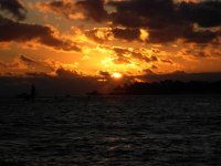 DSCN3694.jpg