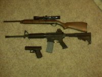 guns.jpg