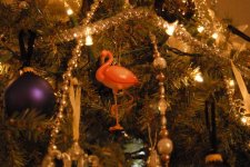Flamingo on Tree.JPG