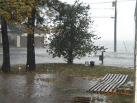 Noreaster-November 2009 058.jpg