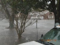 Noreaster-November 2009 059.jpg