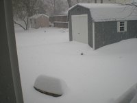 SnowDec09 004.jpg