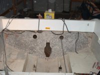 transom 023.jpg