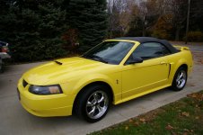 mustang 006.jpg