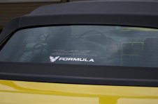 mustang 020.jpg