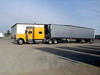 Great Dane 785T 3.jpg