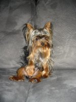 BUDDY 007.jpg