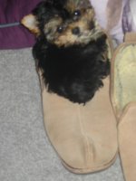 BUDDY 027.jpg