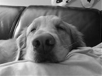 nash b&w.jpg