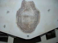 Picture 002.jpg