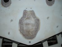 Picture 003.jpg