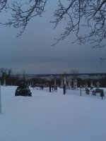IMAG0073.jpg
