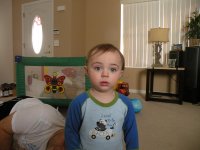 Picture 001.jpg