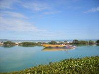 2009_1230MiamiBoatshowrun20100079.jpg