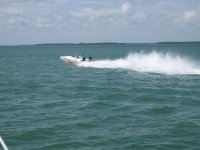 IMG_0498.jpg