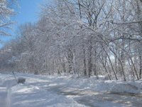 Ash Snow 7.JPG