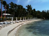 IMG_0243.jpg