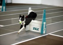 fbjump3.jpg