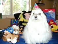 eueys bday partee 004.jpg