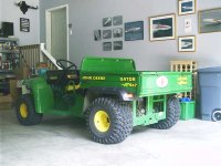 Gator.JPG