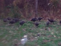 11-21-07_0948.jpg