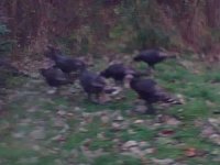 11-21-07_0949.jpg