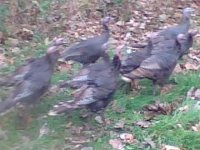 11-21-07_0951.jpg
