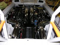 DSCN9686.jpg