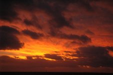 DSC_0010.jpg