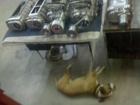 2010-06-18 18.26.55.jpg
