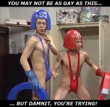 really gay.jpg
