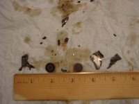 DSC00621a.jpg