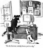 idog.JPG
