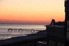 IMG_2687.jpg