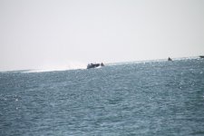 Key West 2010 280.jpg