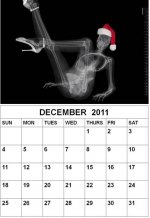 12 -Dec 2011.jpg