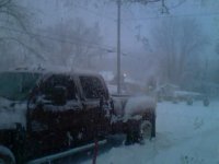 snow day 009.jpg