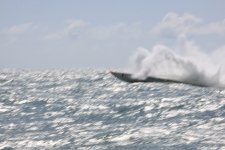 IMG_9802.JPG