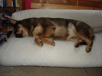 Picture 024.jpg