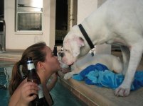 Dogs and M3 036.jpg
