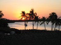 my pictures 019.jpg