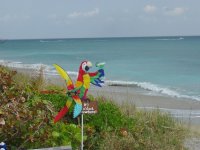JupiterFL0407 005.jpg