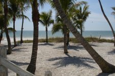 florida 013.jpg