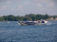 DSC07986.jpg