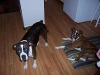 100_2838.jpg
