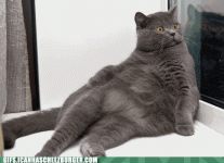 download.gif