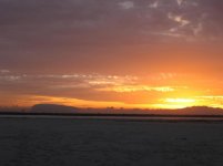 IMG_0374.jpg