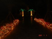 DSC01460.jpg