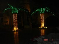 DSC01458.jpg